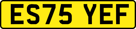 ES75YEF