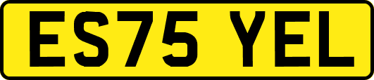 ES75YEL