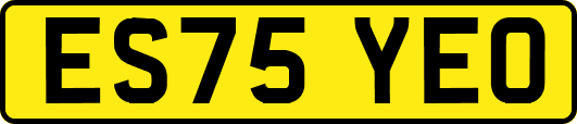 ES75YEO