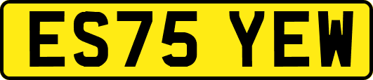 ES75YEW