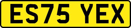 ES75YEX