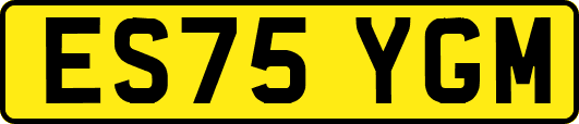 ES75YGM