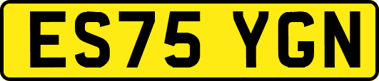 ES75YGN