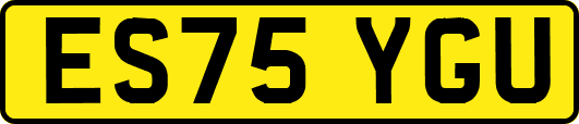 ES75YGU