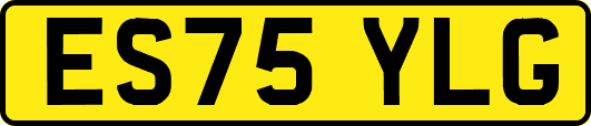 ES75YLG