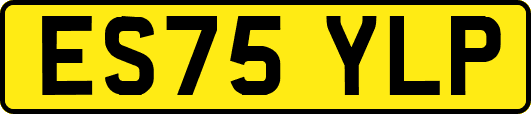 ES75YLP