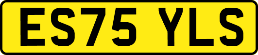 ES75YLS
