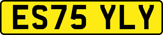 ES75YLY