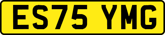 ES75YMG