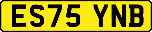 ES75YNB