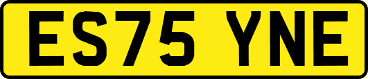 ES75YNE