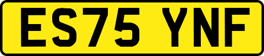 ES75YNF