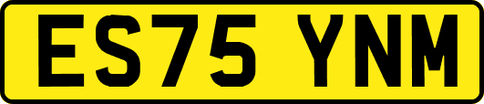 ES75YNM