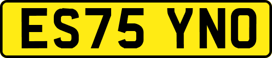 ES75YNO