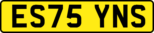ES75YNS