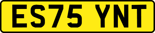 ES75YNT
