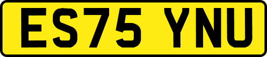 ES75YNU