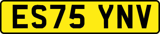 ES75YNV