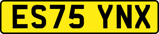 ES75YNX