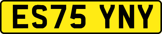 ES75YNY