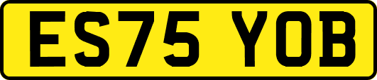 ES75YOB