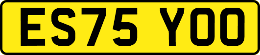 ES75YOO