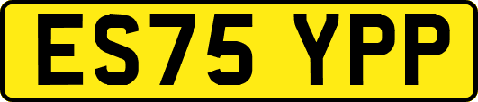 ES75YPP