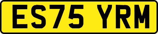 ES75YRM