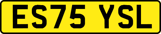 ES75YSL