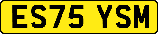 ES75YSM
