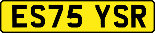 ES75YSR