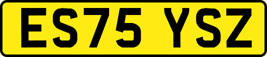 ES75YSZ