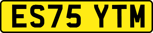 ES75YTM