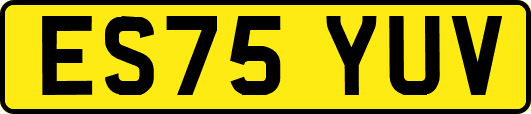 ES75YUV