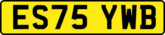 ES75YWB
