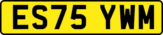 ES75YWM