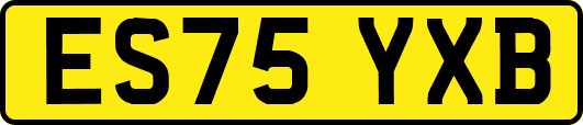 ES75YXB