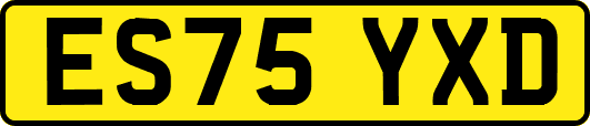 ES75YXD
