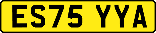 ES75YYA