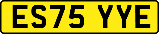 ES75YYE