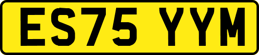ES75YYM