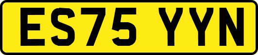 ES75YYN