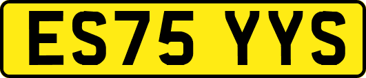 ES75YYS