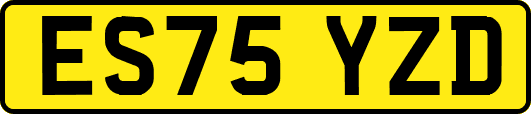 ES75YZD