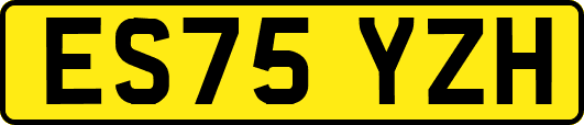 ES75YZH