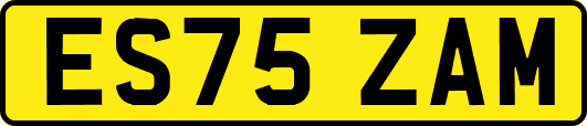 ES75ZAM
