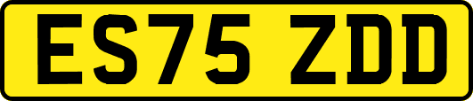 ES75ZDD