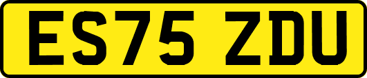 ES75ZDU