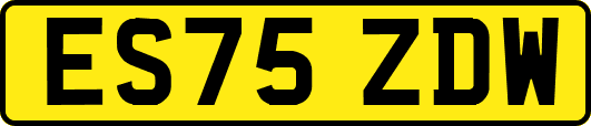 ES75ZDW