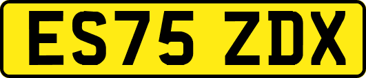 ES75ZDX